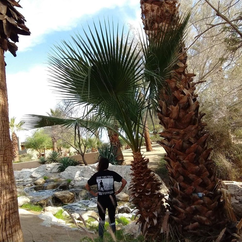 Meet your Posher, Rosalinda